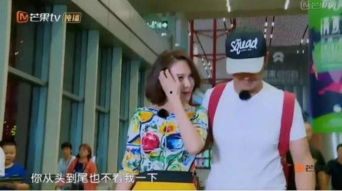 娱乐吃瓜情报站,娱乐吃瓜情报站独家爆料，明星幕后故事大公开！