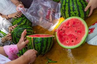 网络吃瓜视频,揭秘娱乐圈幕后故事